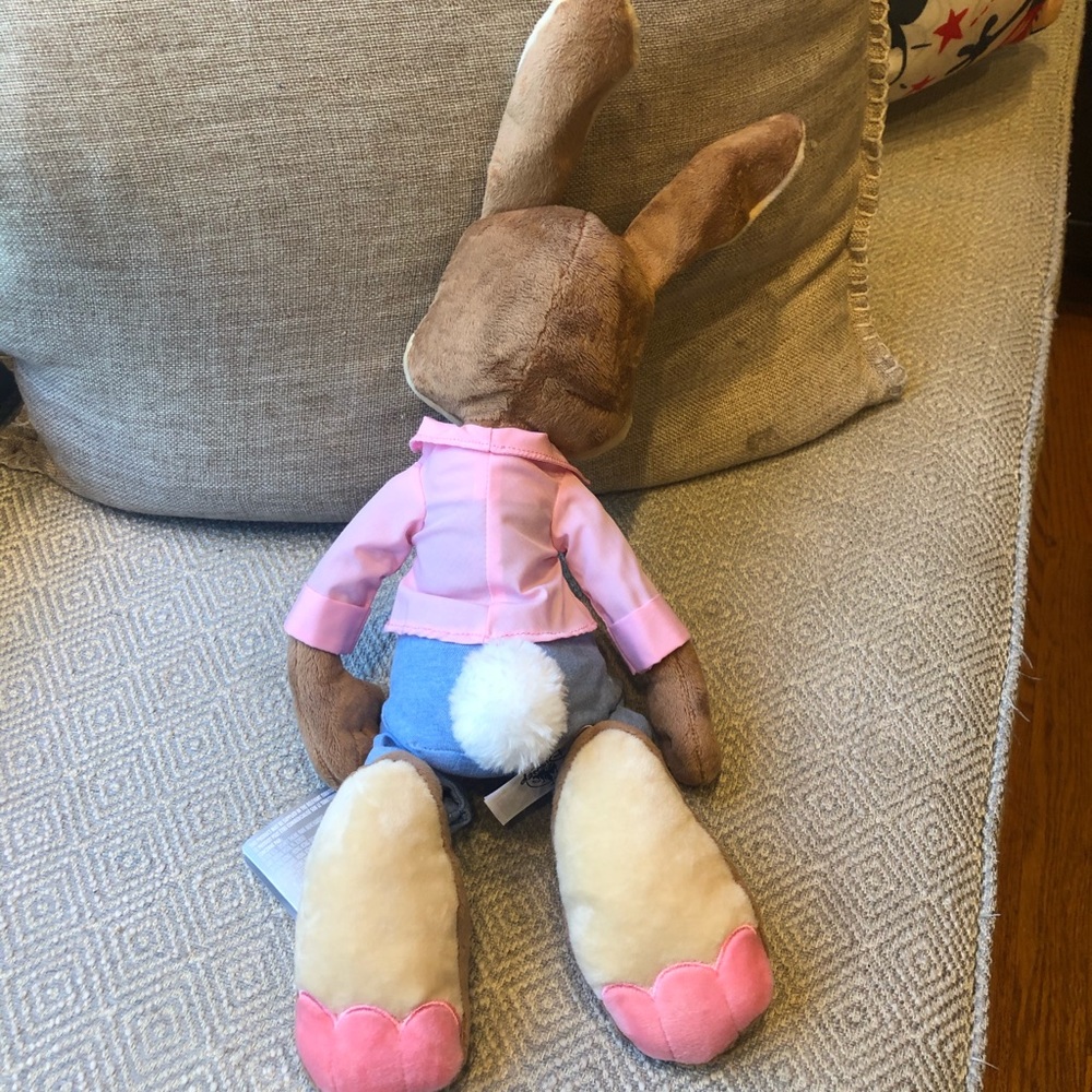 Disney Splash Mountain Brer Rabbit - Picture 4 of 4